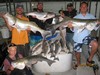 (06/17/2017) - Nice Striped Bass
